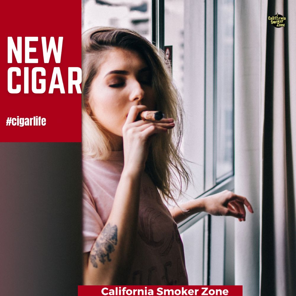CALIFORNIA SMOKER ZONE Updated September 2024 352 Photos 748 Vine