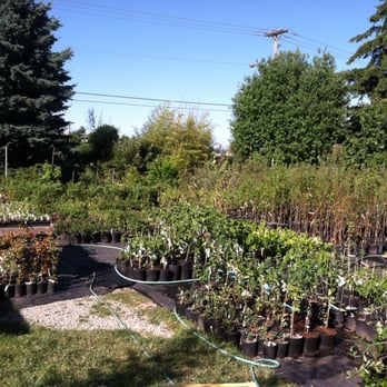 Harvest Nursery - Nurseries & Gardening Near Me - Molalla, Oregon