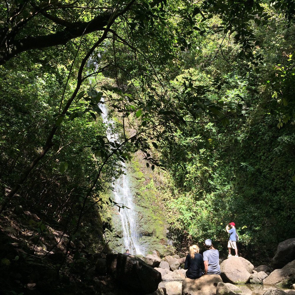 Lulumahu Falls - Hiking Near Me - Honolulu, Hawaii Lulumahu Falls - Hiking Near Me - Honolulu, Hawaii