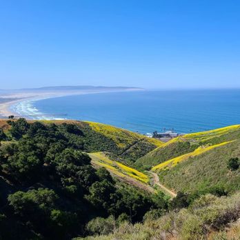 Pismo Preserve - Absolutely beautiful views during the hike. - Hiking Near Me - Pismo Beach, California Pismo Preserve - Absolutely beautiful views during the hike. - Hiking Near Me - Pismo Beach, California