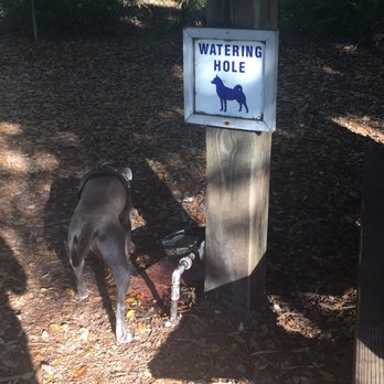 Woodmere Park - Dog Parks Near Me - Venice, Florida Woodmere Park - Dog Parks Near Me - Venice, Florida