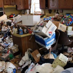 Trash Monkey Junk Removal & Hauling