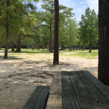 Bogue Falaya Park - Park leads down to river - Parks Near Me - Covington, Louisiana