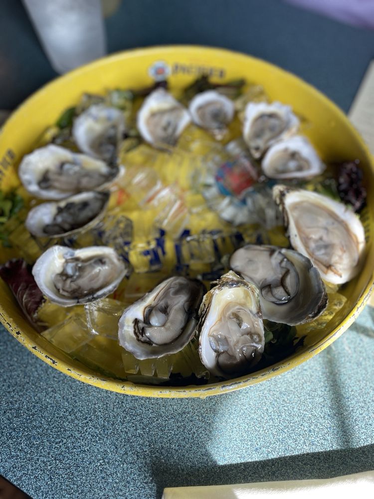 The Stolen Coin Oyster Bar and Bistro Logo