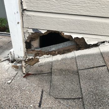 CageyCritter - Hole Racoon had made - Wildlife Control Near Me