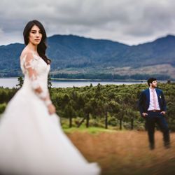 The Vibrant Photography