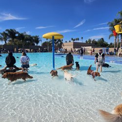 West Sacramento Recreation Center - Soggy Doggy Day 2025 @ West Sac Rec Center Pool