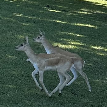 Alabama Safari Park - Zoos Near Me - Hope Hull, Alabama
