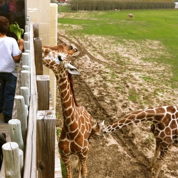 Frank Buck Zoo - Zoos Near Me - Gainesville, Texas