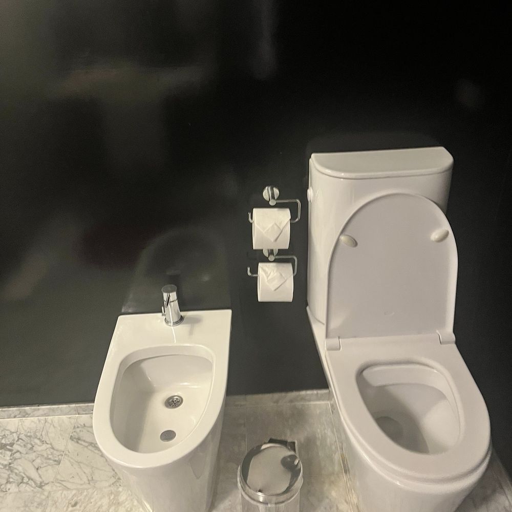Hotel Anselmo - A toilet and bidet! - Hotels Near Me - Buenos Aires, C