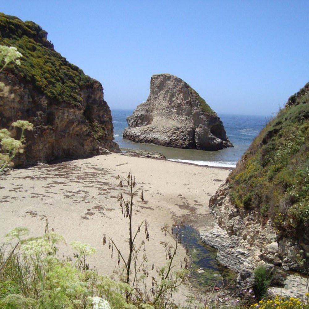 Bonny Doon Beach - Our private beach (clothing optional area). - Beaches Near Me - Santa Cruz, California