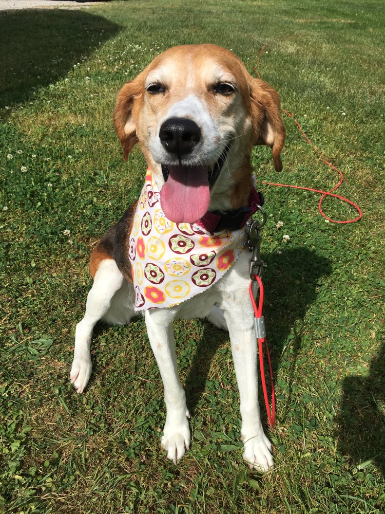 ANNA SHELTER Updated August 2024 10 Reviews 1555 E 10th St, Erie