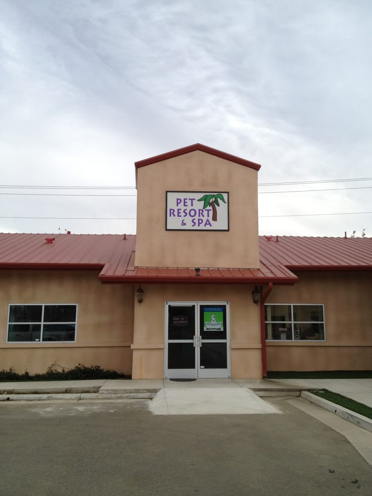PET RESORT & SPA Updated September 2024 1455 Herndon, Clovis