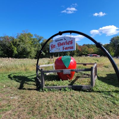 Dr Davies Farm by null