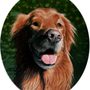 Photo of Portrait Artist Debra Dee