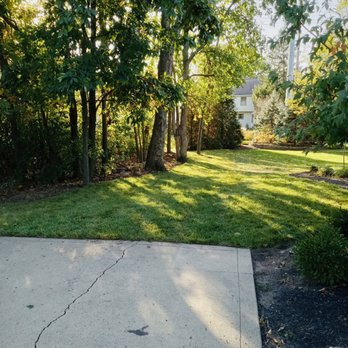 Nextdoor Lawn and Landscape - Our dedicated team took on the challenge, giving this once-struggling lawn a fresh start with a vibrant sod replacement. - Lawn Services Near Me Nextdoor Lawn and Landscape - Our dedicated team took on the challenge, giving this once-struggling lawn a fresh start with a vibrant sod replacement. - Lawn Services Near Me