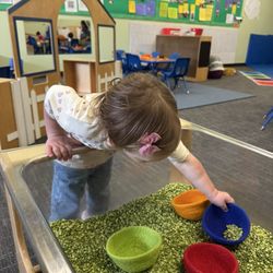 Lake Washington Toddler Group - Sensory bin fun