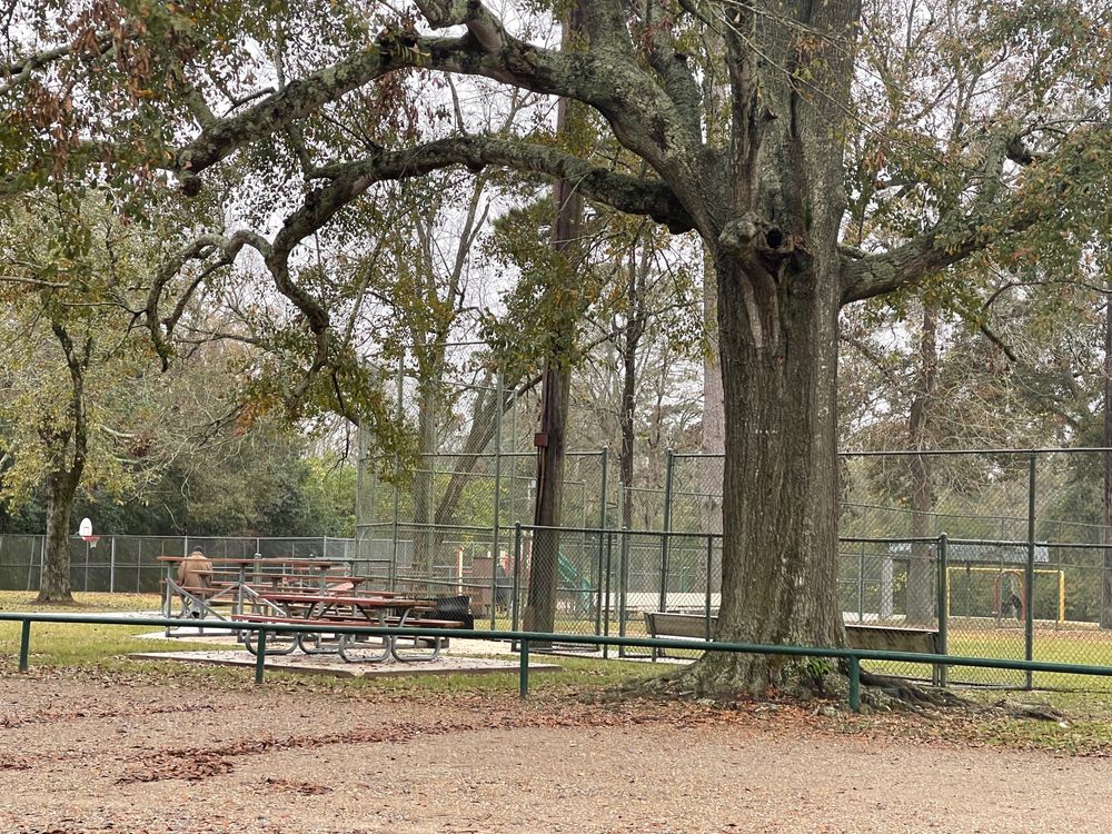 DRUSILLA LANE PARK Updated October 2024 13 Photos 2546 Drusilla