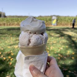 Mckee CornField Maze