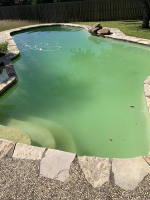 Green-to-Clean - This Green-to-Clean was completed in 48 hours. The pool was older and the system needed more time to filter the water and fully clear up. Green-to-Clean - This Green-to-Clean was completed in 48 hours. The pool was older and the system needed more time to filter the water and fully clear up.