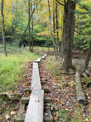 Mohonk Preserve by null