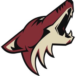 The Coyotes' primary logo, used from 2003 to 2011. 03/22/23