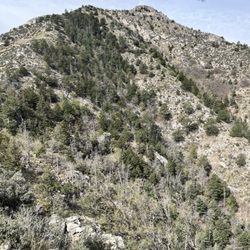 Guadalupe Peak Trail Hike