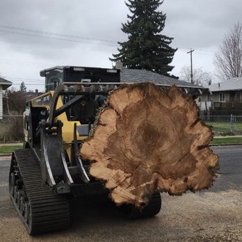 Sam's Tree & Landscape - Tree Services Near Me - Spokane, Washington Sam's Tree & Landscape - Tree Services Near Me - Spokane, Washington
