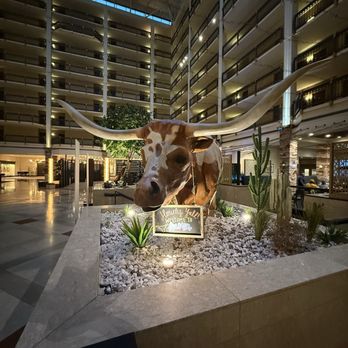 Renaissance Austin Hotel - Lobby - Hotels Near Me - Austin, Texas
