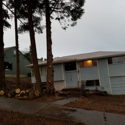 All Seasons Tree Service