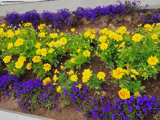 Golden Heart Plaza by null