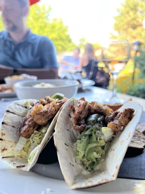 The Village Anchor by null