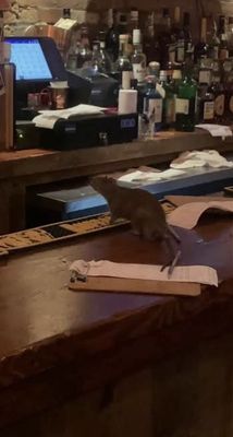 The Chicken Box by null