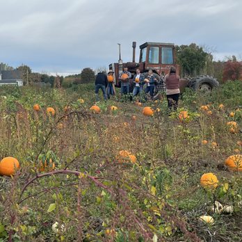McCray's Farm - The Aimee Kelly crew enjoying our pumpkin patch in the fall time - Attraction Farms Near Me - South Hadley, Massachusetts McCray's Farm - The Aimee Kelly crew enjoying our pumpkin patch in the fall time - Attraction Farms Near Me - South Hadley, Massachusetts