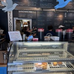 Laughing Gull - Pastry Counter