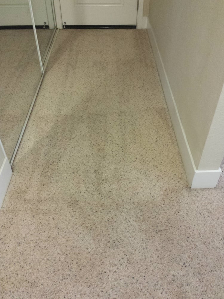 PERALTA CLEANING Updated October 2024 29 Reviews Fremont