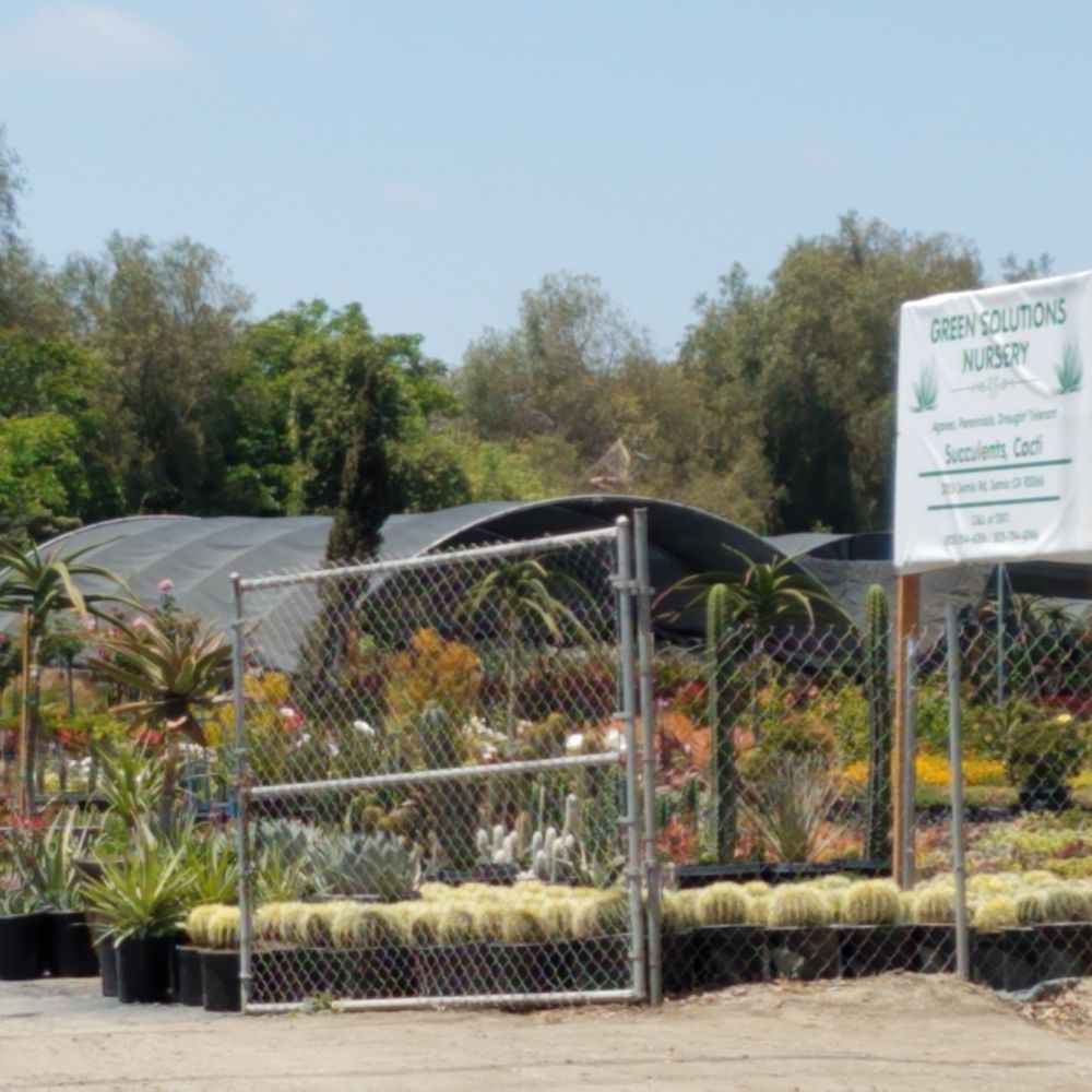 Green Solutions Nursery - Nurseries & Gardening Near Me - Somis, California Green Solutions Nursery - Nurseries & Gardening Near Me - Somis, California