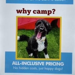 Camp Bow Wow
