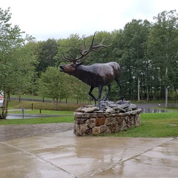 Elk Country Visitors Center - Parks Near Me - Benezette, Pennsylvania Elk Country Visitors Center - Parks Near Me - Benezette, Pennsylvania