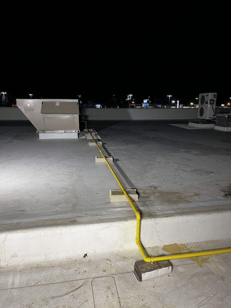 Slide of Arkansas Rooter