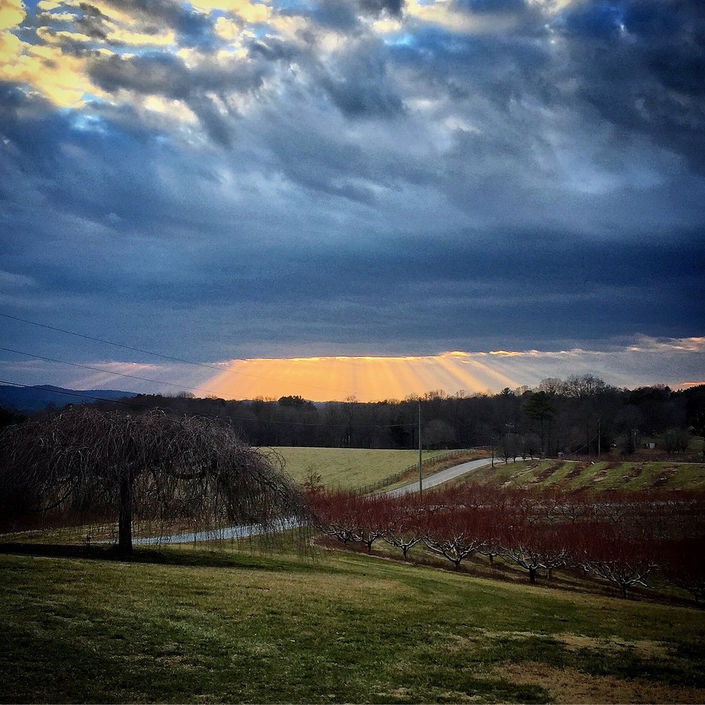 EMILY REECE RE/MAX TOWN & COUNTRY Updated June 2024 96 Craig St