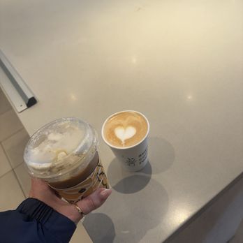 Succulent Coffee Roasters - Iced brown sugar w cold foam and hot succulent latte - Coffee & Tea Near Me - Huntington Beach, California Succulent Coffee Roasters - Iced brown sugar w cold foam and hot succulent latte - Coffee & Tea Near Me - Huntington Beach, California