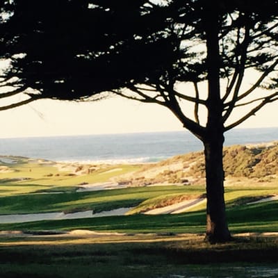 Cypress Point by null