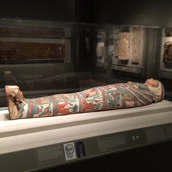 The Walters Art Museum - Art Museums Near Me - Baltimore, Maryland The Walters Art Museum - Art Museums Near Me - Baltimore, Maryland