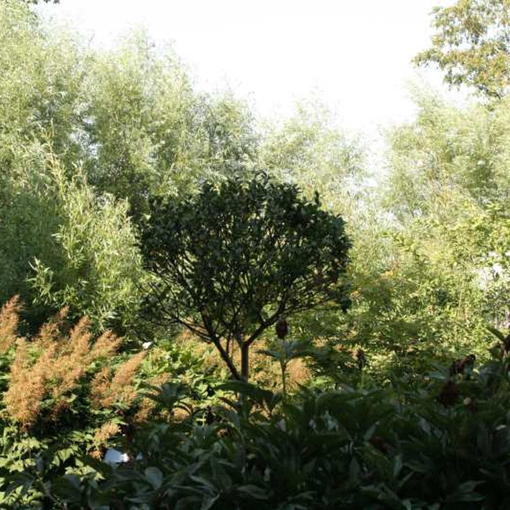 Susannes Vacation Home - Vacation Rentals Near Me - Glumslöv, M Susannes Vacation Home - Vacation Rentals Near Me - Glumslöv, M