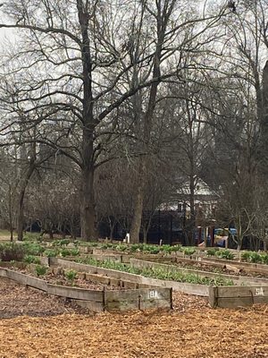 Truly Living Well Center for Natural Urban Agriculture - Collegetown Farm by null