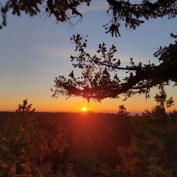 Tree Climbing at Silver Falls - Treetop sunset at 270' - Climbing Near Me - Sublimity, Oregon