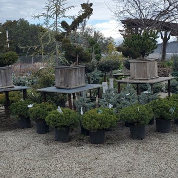 High Hand Nursery - Nurseries & Gardening Near Me - Loomis, California