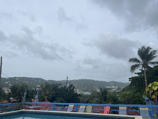 Olga's Fancy by null