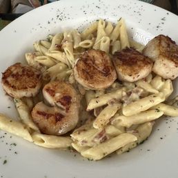 Scallop carbonara Scallop carbonara